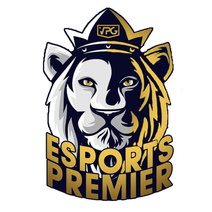 Virtual Pro Gaming Where The Champions Play